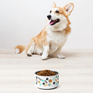 18 oz Stainless Steel Pet bowl – Dog